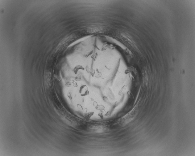 X0000071810171200607211721