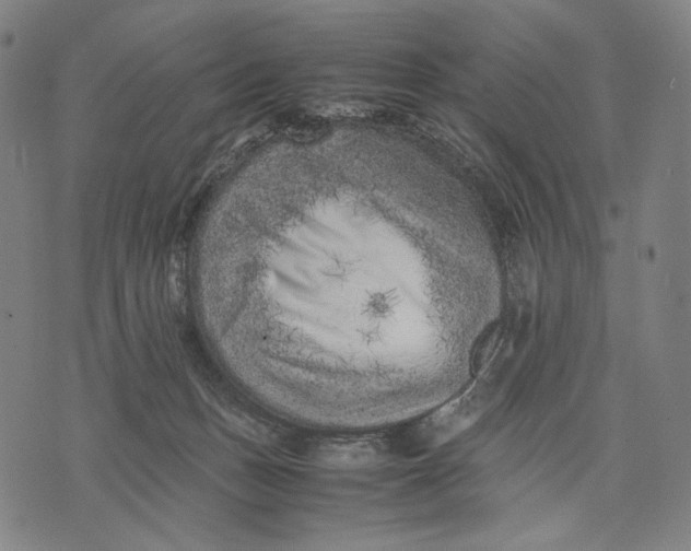 X0000071810175200607211721