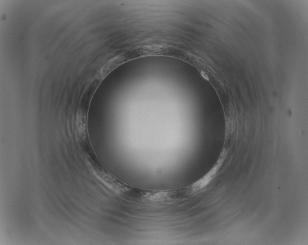 X0000071810186200607211721
