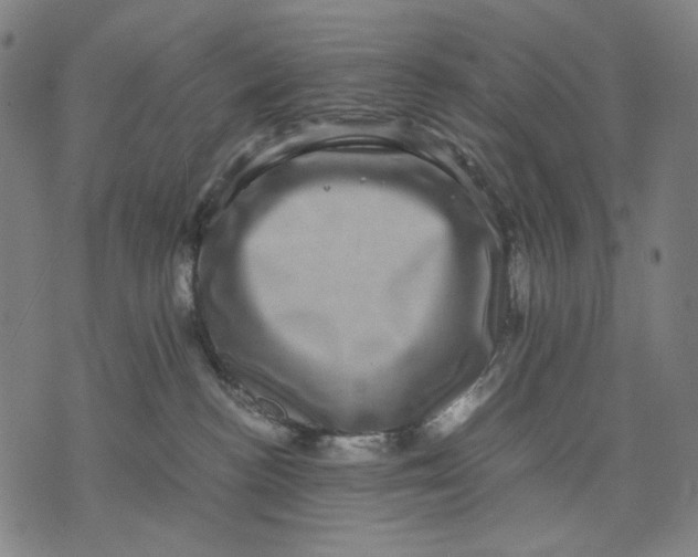 X0000071810188200607211721