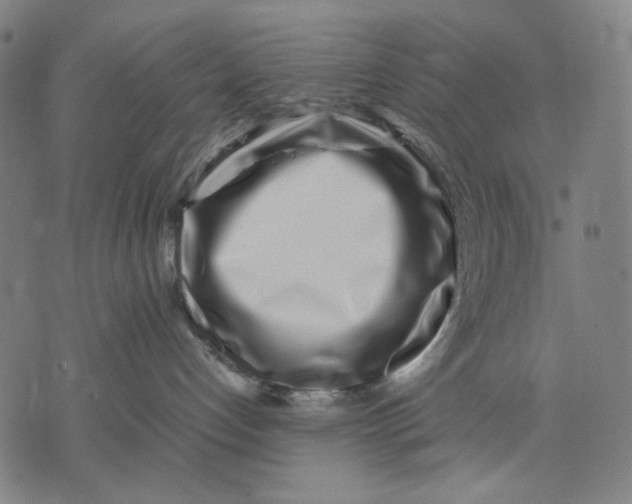 X0000071810192200607211721