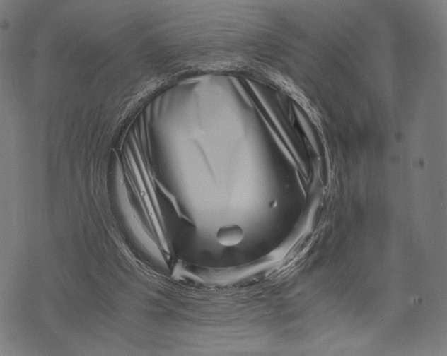 X0000071810201200607211720