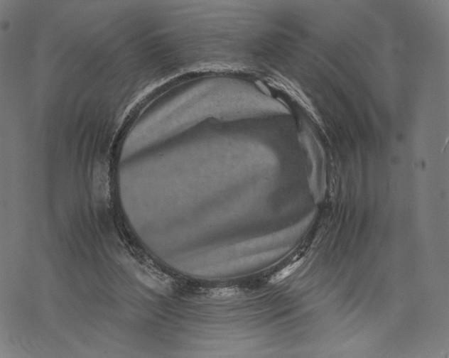 X0000071810204200607211720