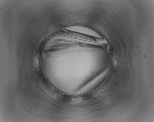 X0000071810214200607211720
