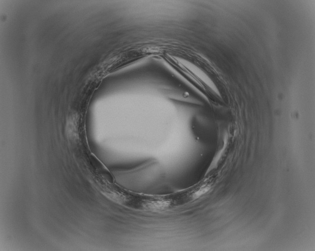 X0000071810217200607211720