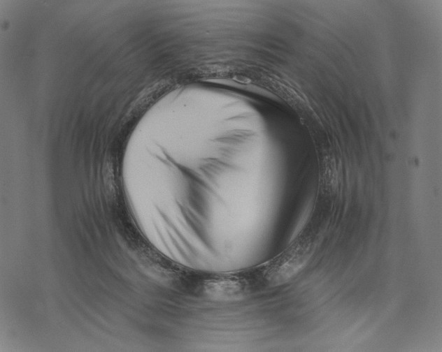 X0000071810220200607211720