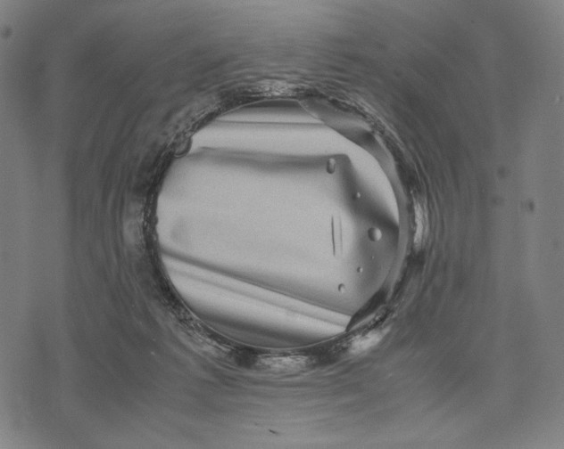 X0000071810221200607211720