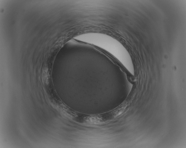 X0000071810223200607211720