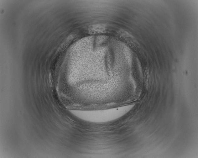 X0000071810224200607211720