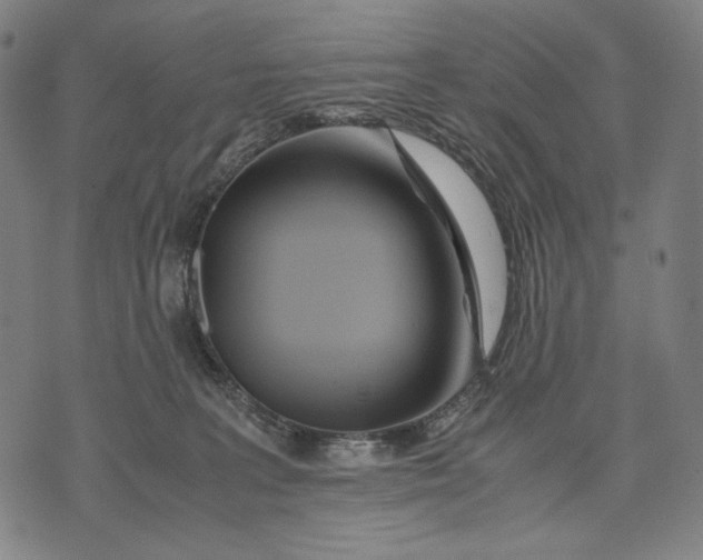 X0000071810227200607211720