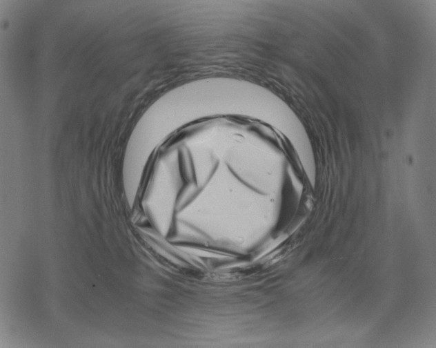 X0000071810231200607211720