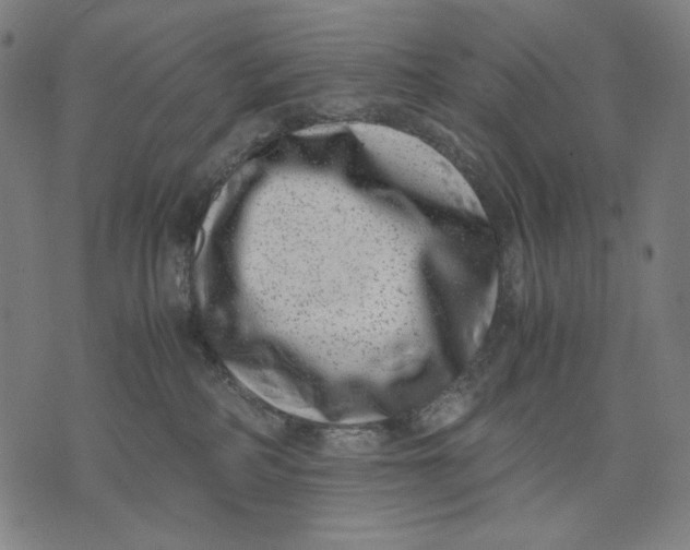 X0000071810234200607211720