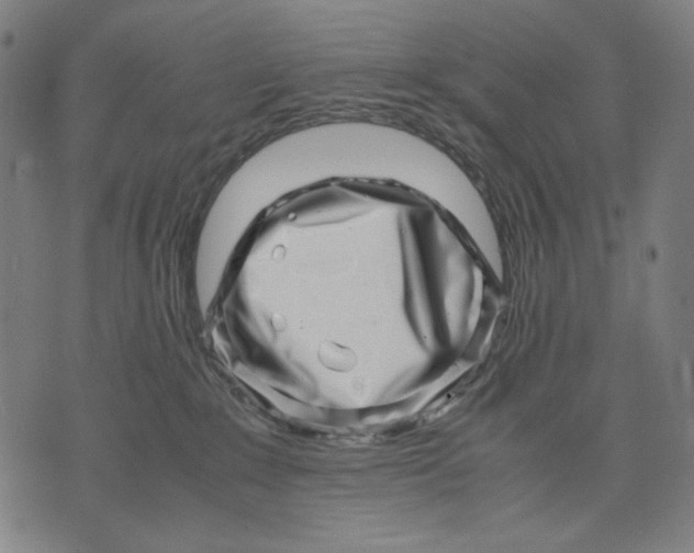 X0000071810235200607211719