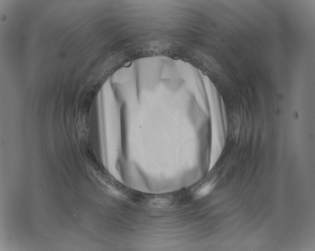X0000071810236200607211719