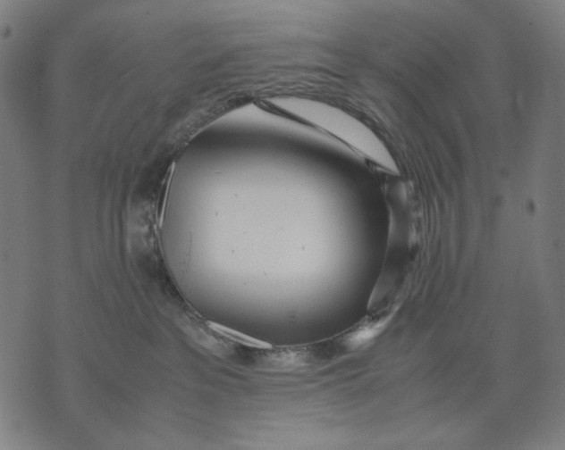 X0000071810237200607211719