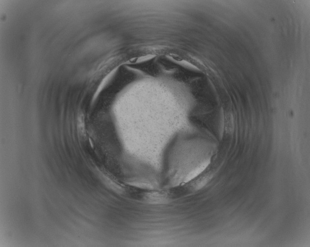 X0000071810238200607211719