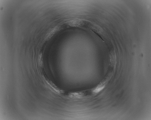 X0000071810239200607211719