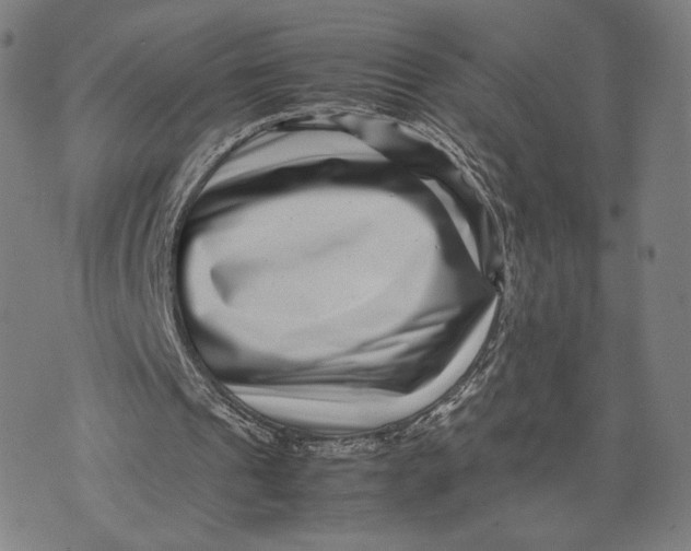X0000071810241200607211719