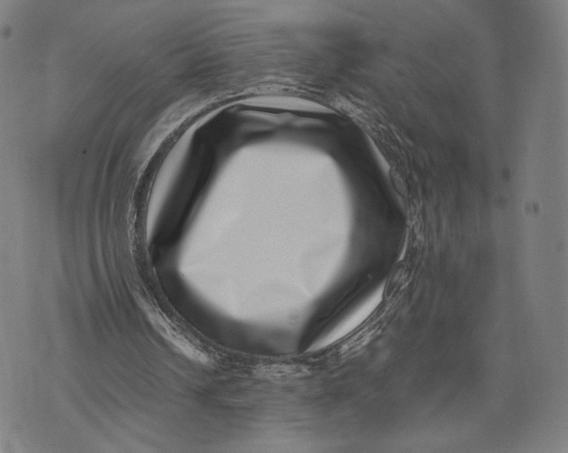 X0000071810242200607211719