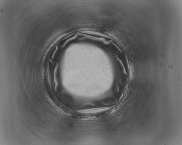 X0000071810243200607211719