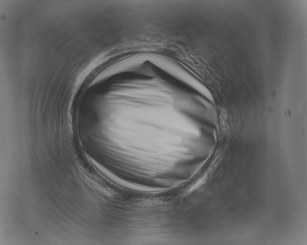 X0000071810246200607211719