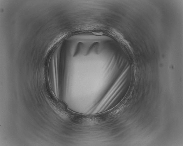 X0000071810250200607211719