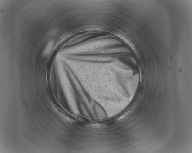 X0000071810253200607211719