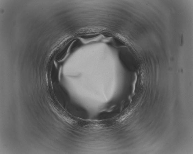 X0000071810254200607211719