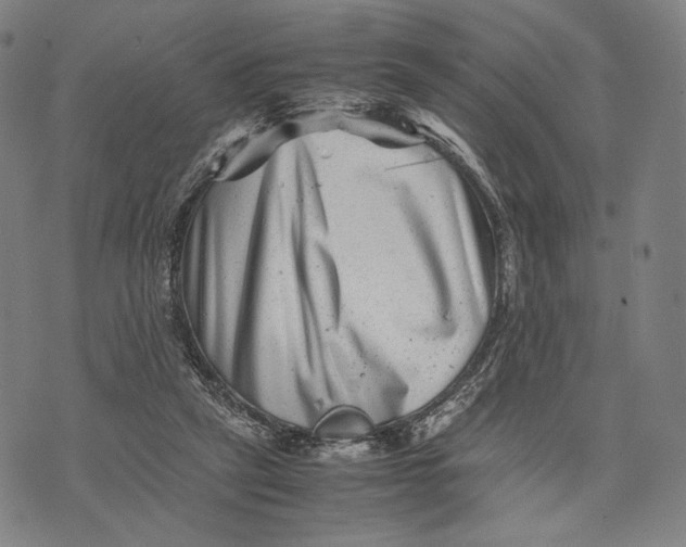 X0000071810257200607211719