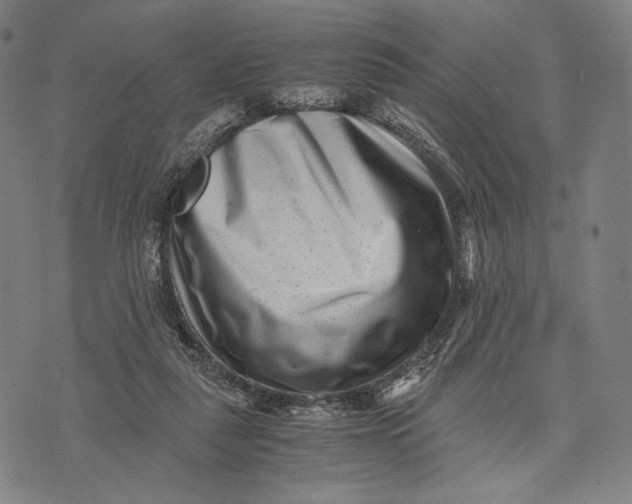 X0000071810259200607211719