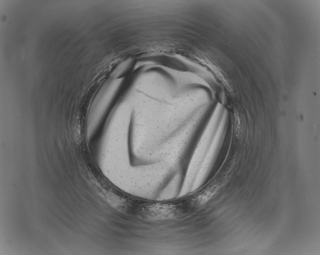 X0000071810261200607211719