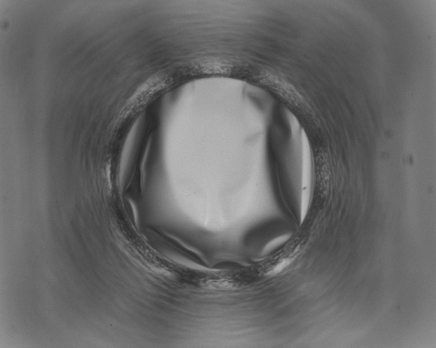 X0000071810262200607211719