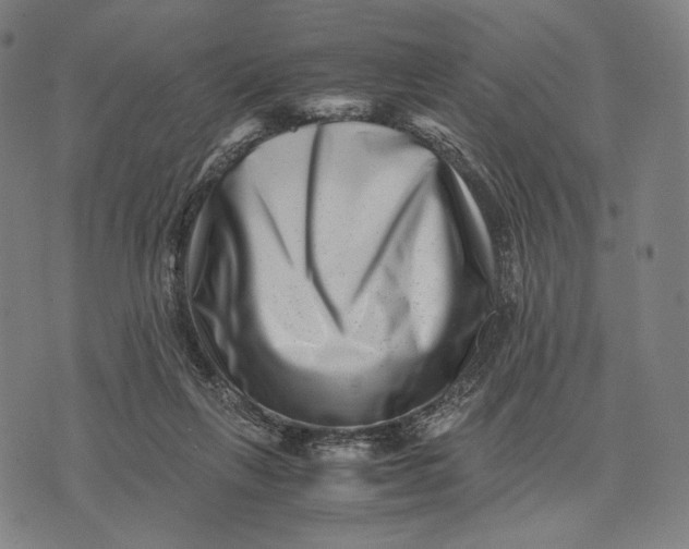 X0000071810263200607211719