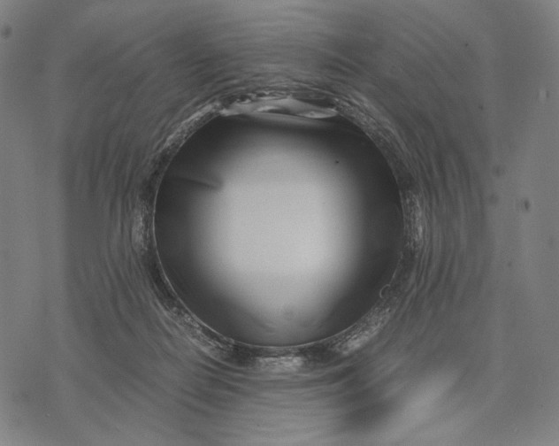 X0000071810266200607211719