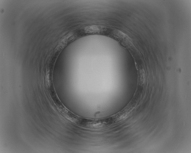 X0000071810267200607211719