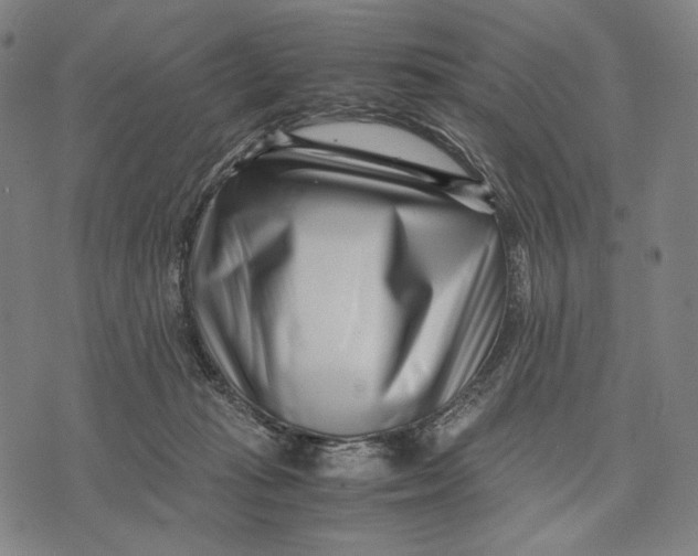 X0000071810269200607211719