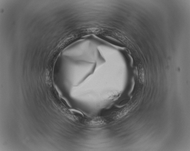 X0000071810270200607211719