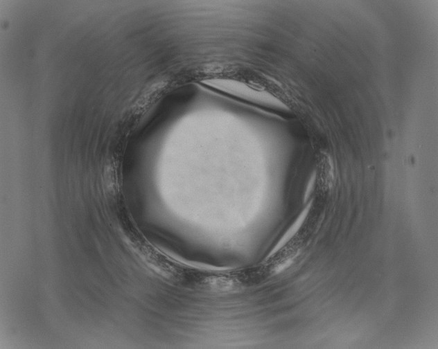 X0000071810272200607211719