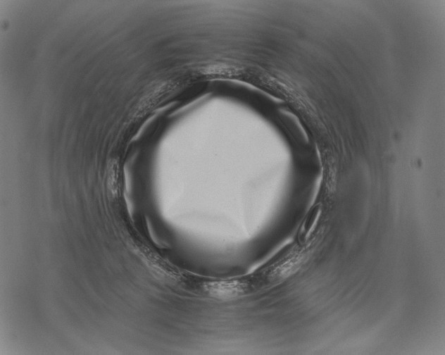 X0000071810273200607211719