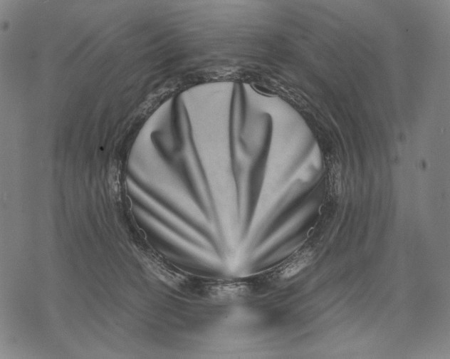 X0000071810274200607211719