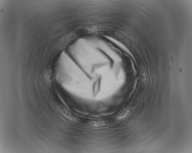 X0000071810275200607211719