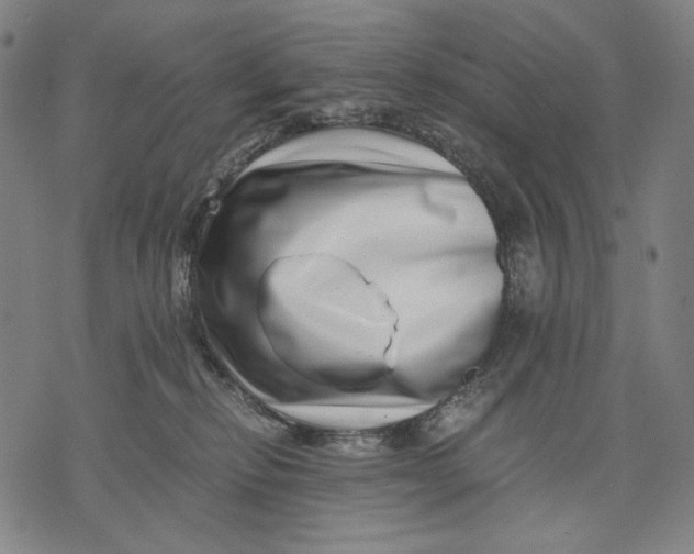 X0000071810278200607211719