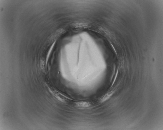 X0000071810281200607211719