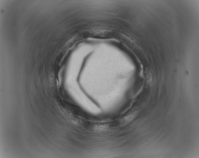 X0000071810283200607211719