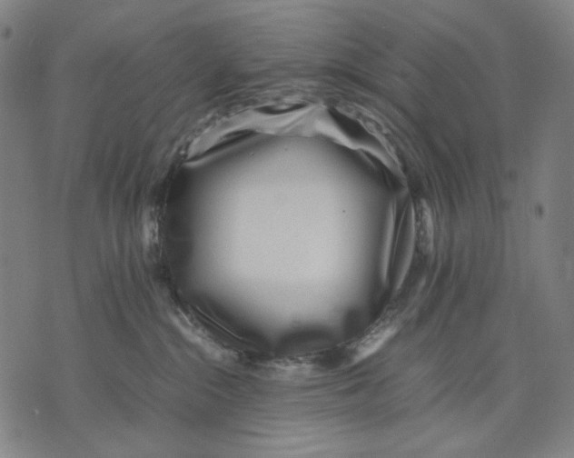 X0000071810284200607211719