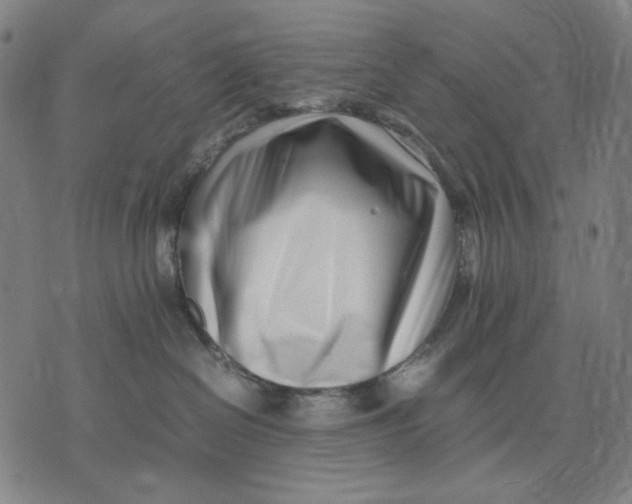 X0000071810286200607211719