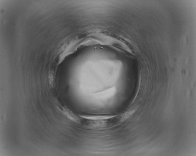 X0000071810288200607211719