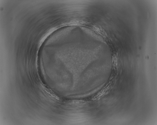 X0000071810292200607211719