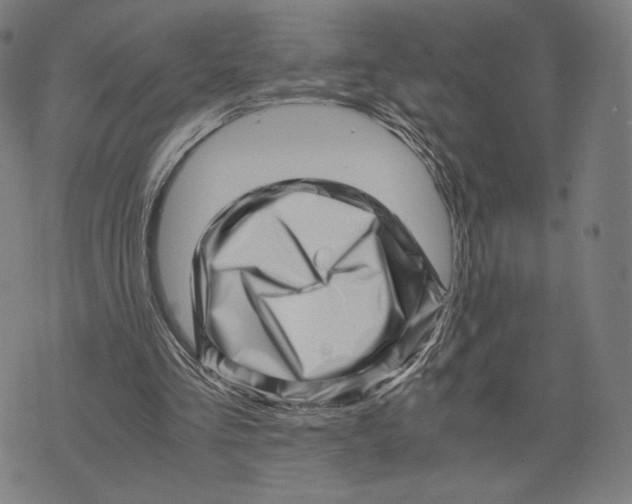 X0000071810293200607211719
