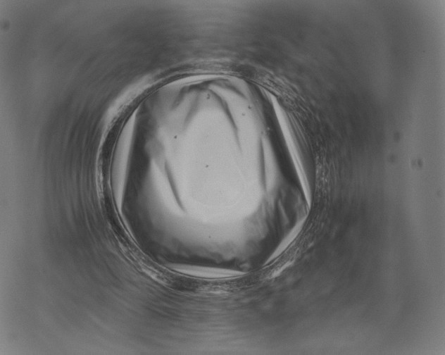 X0000071810294200607211719